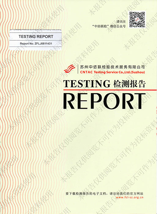 Test rapport